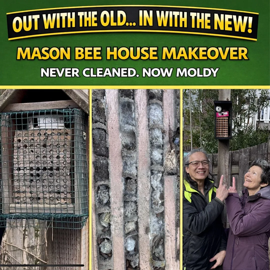 Ramone and Karen Bee House Makeover