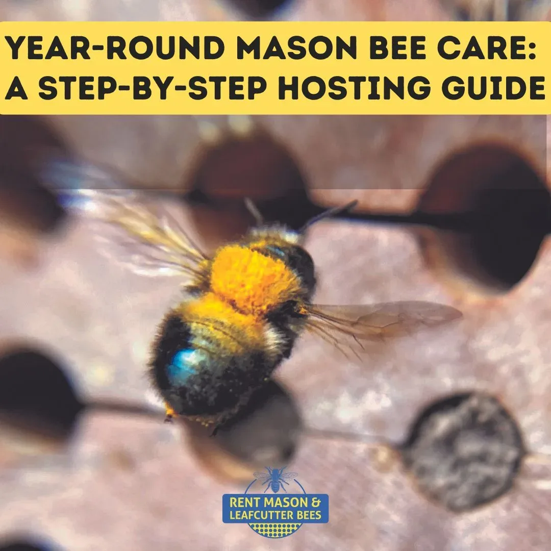 Year Round Care 1080 X 1080