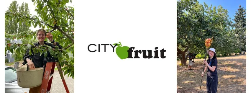 Two people picking fruit in an orchard, with the City Fruit logo between them