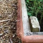 Copper Barrier
