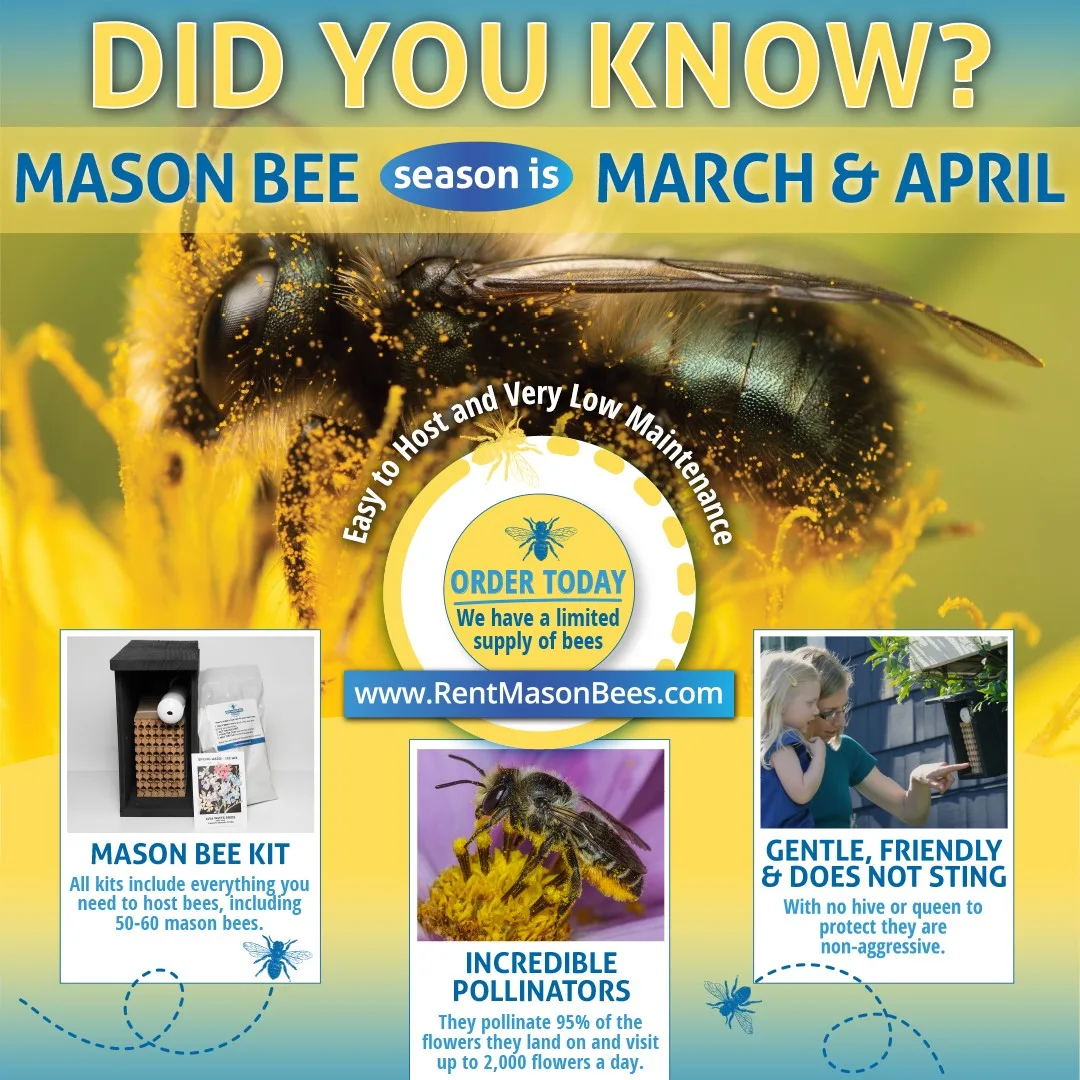Did You Know