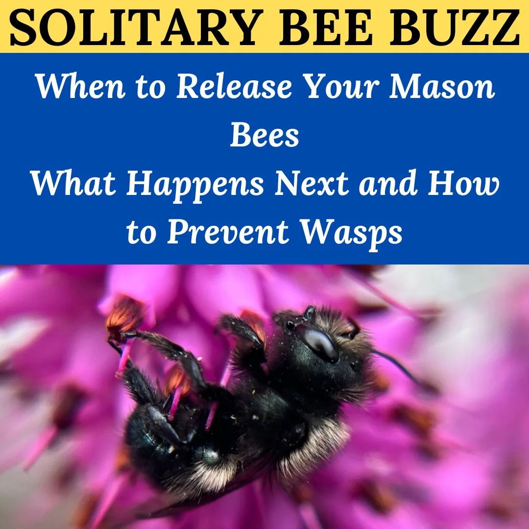 Early May Newsletter