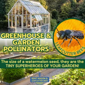 Fine Garden Ad1
