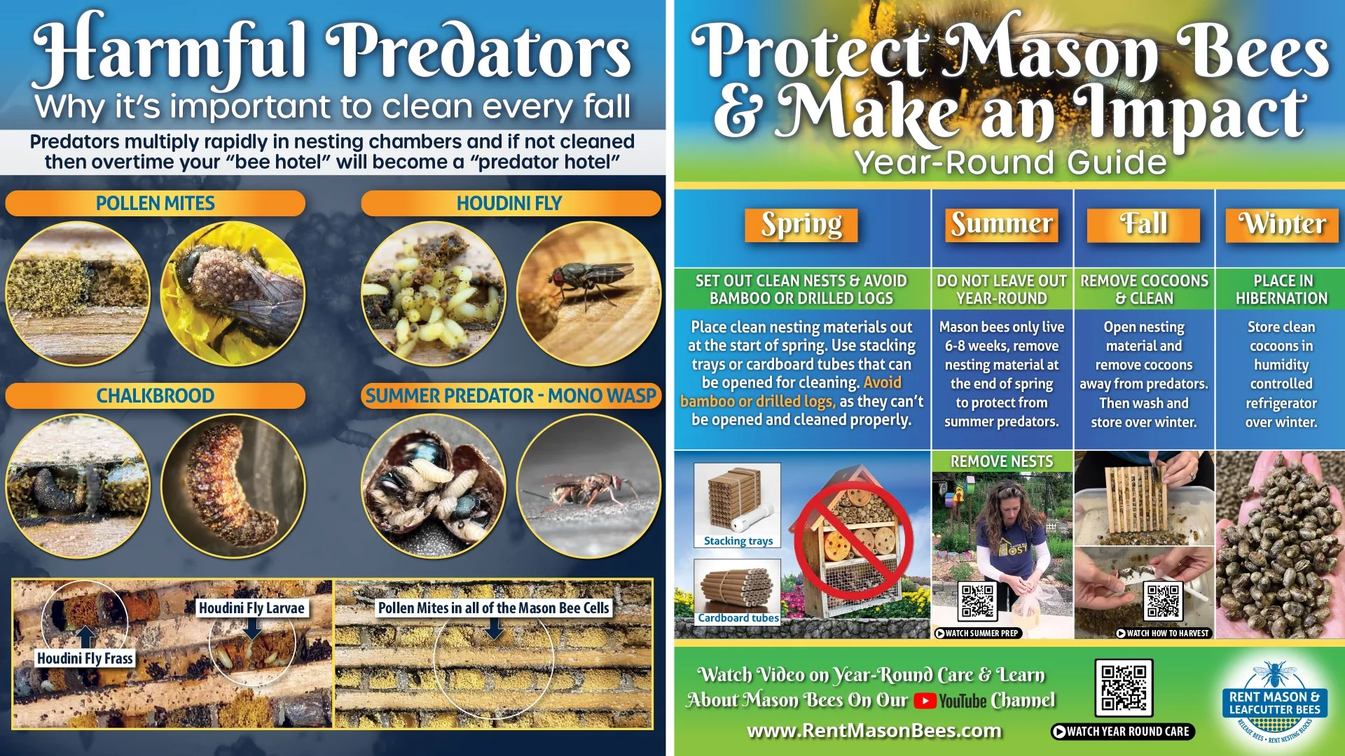 Harmful Predators and Year Round Care