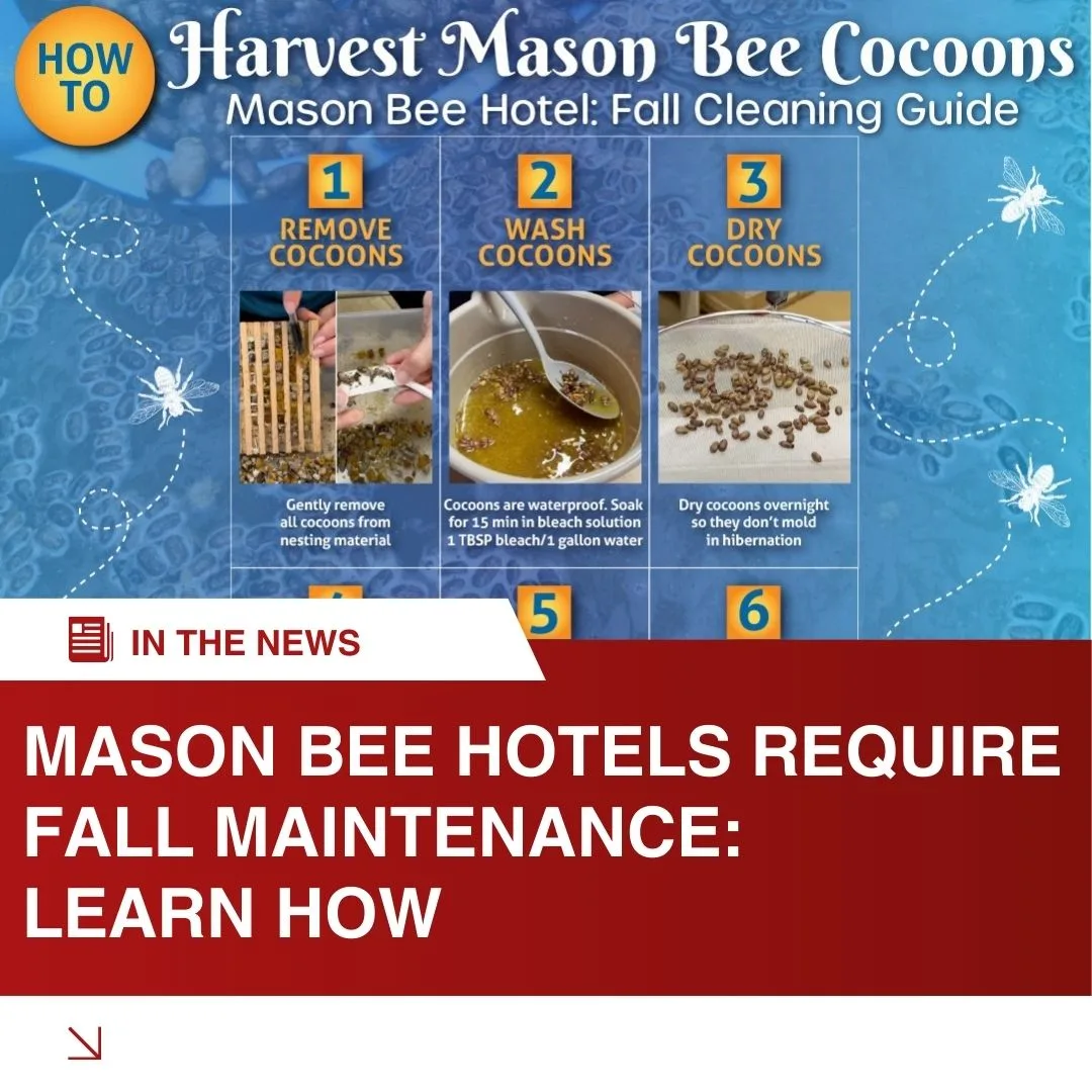 In the News Fall Clean
