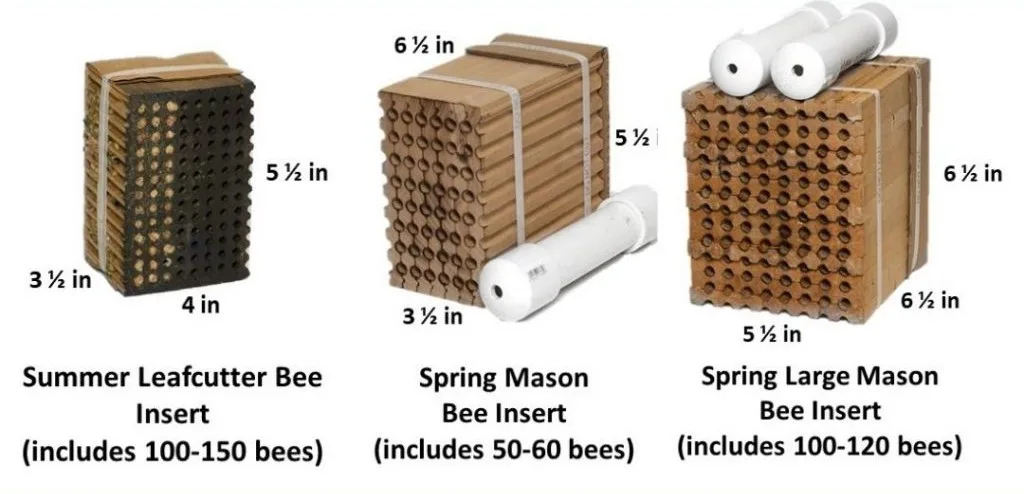 Nesting insert dimensions for leafcutter, mason, and large mason bee blocks