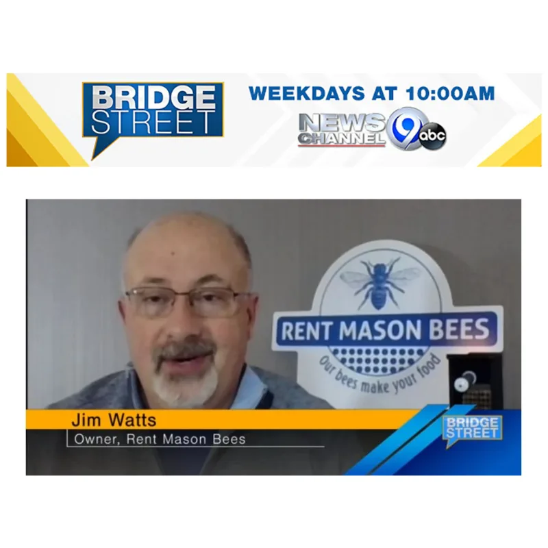 Jim Watts Bridge Street
