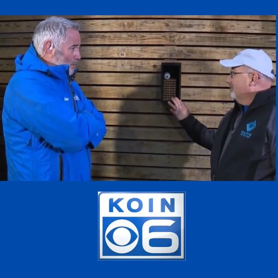 Koin TV "Washington company rents out bees for your garden
