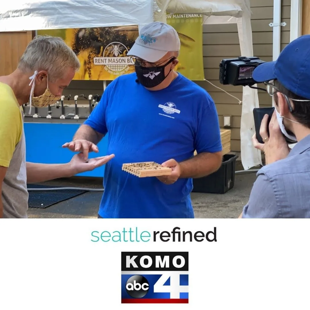 Komo Seattle Refined