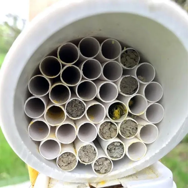 Mason Bee Bundle