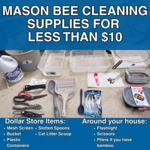 Supplies laid out for cleaning mason bee cocoons, including bins, a strainer, a flashlight, scissors, and a mesh screen.