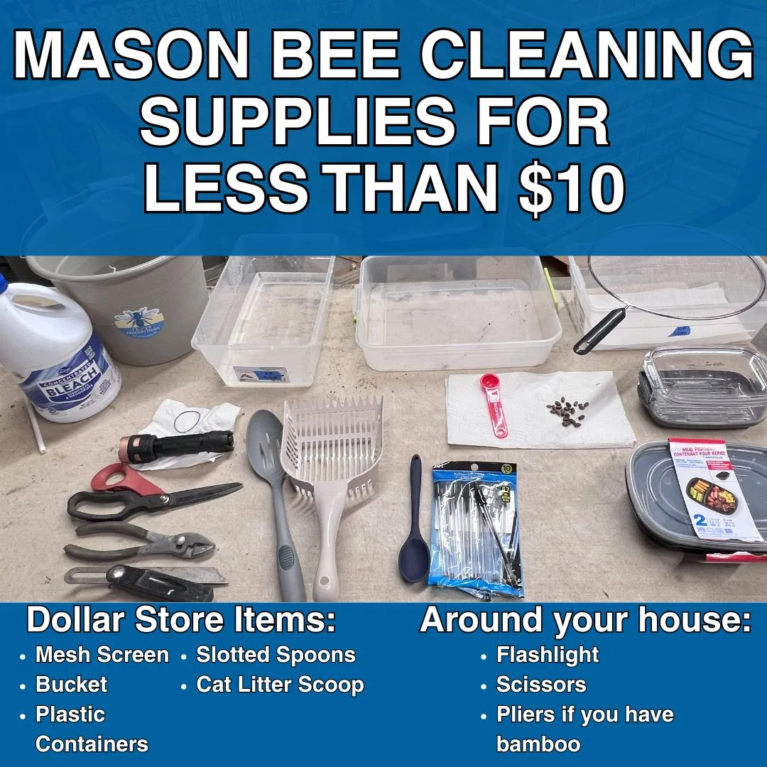 Mason Bee Cleaning Supply List