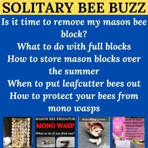 Mono Wasp Block Swap
