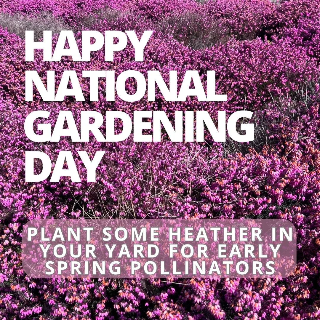 National Gardening Day 1