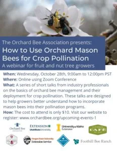 Orchard Bee Association flyer for a webinar on mason bees for crop pollination