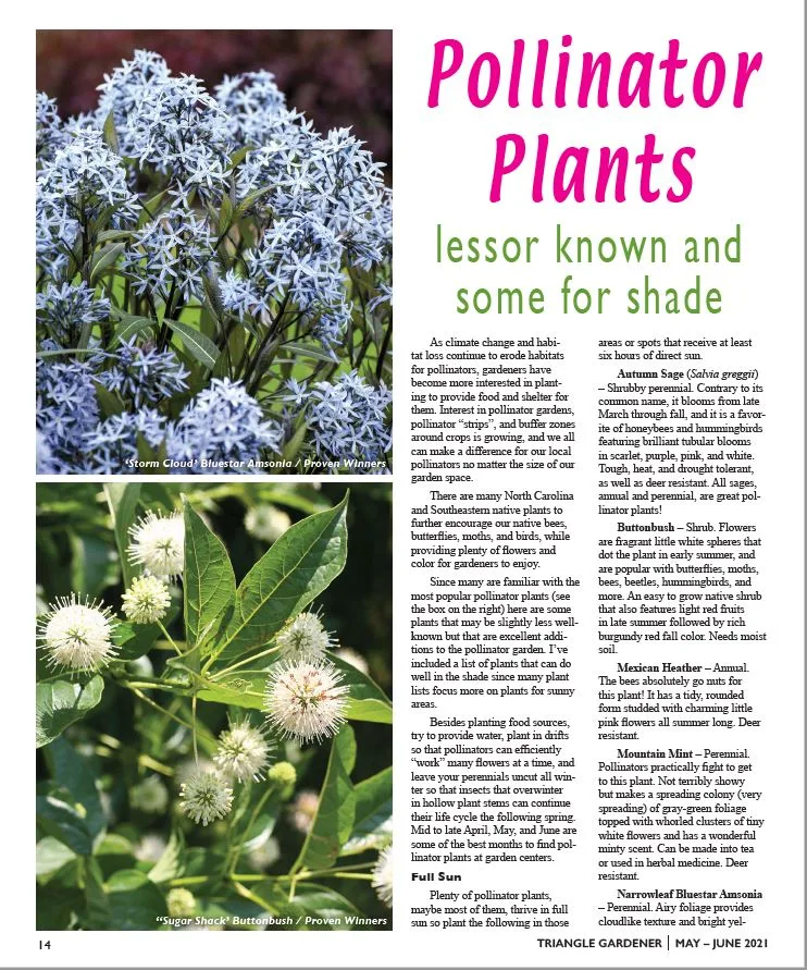 Triangle Gardener Magazine - Pollinator Plants