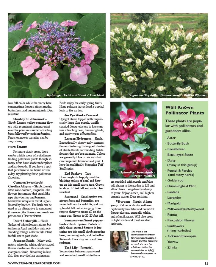 Triangle Gardener Magazine - Pollinator Plants