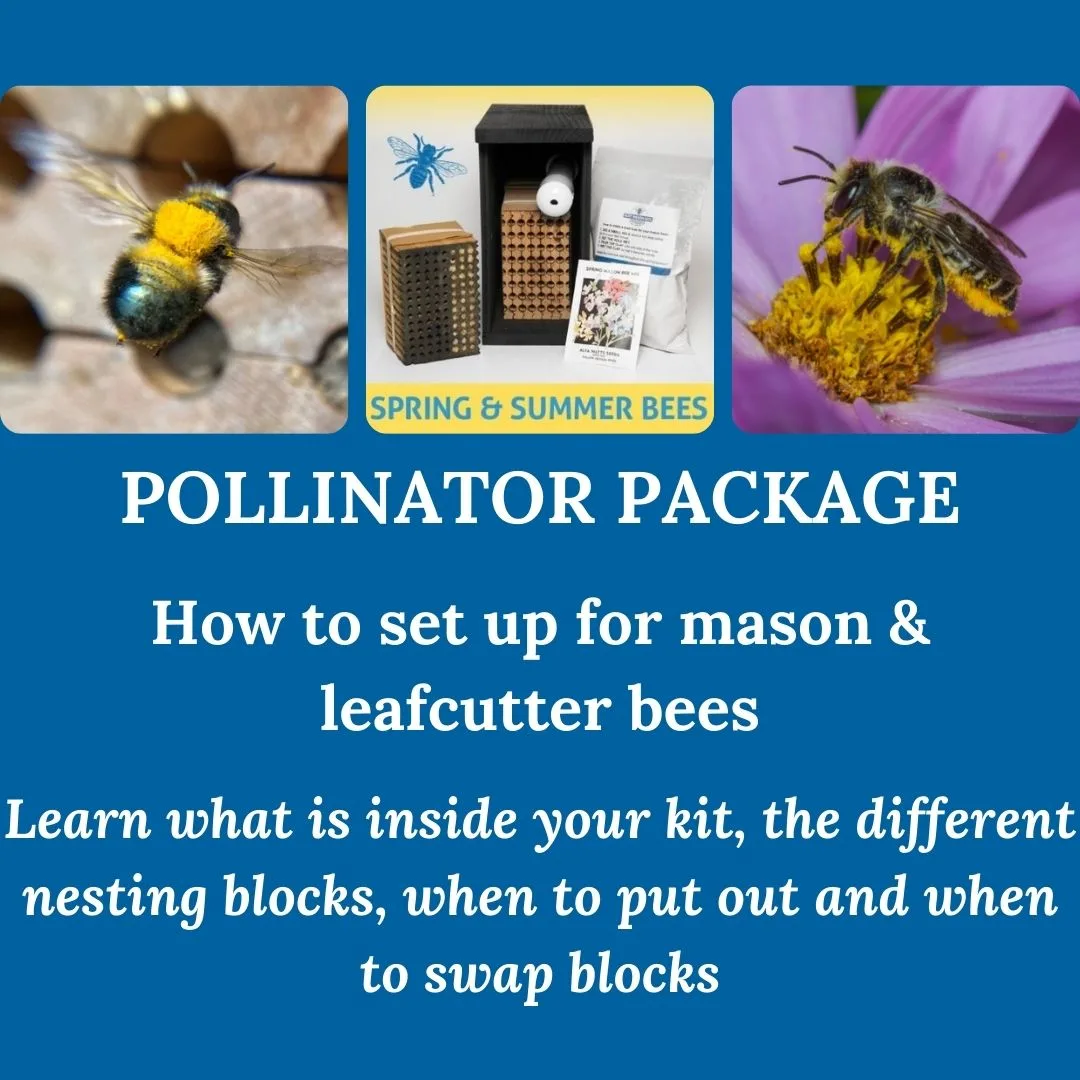 Pollinator Package 1080 × 1080