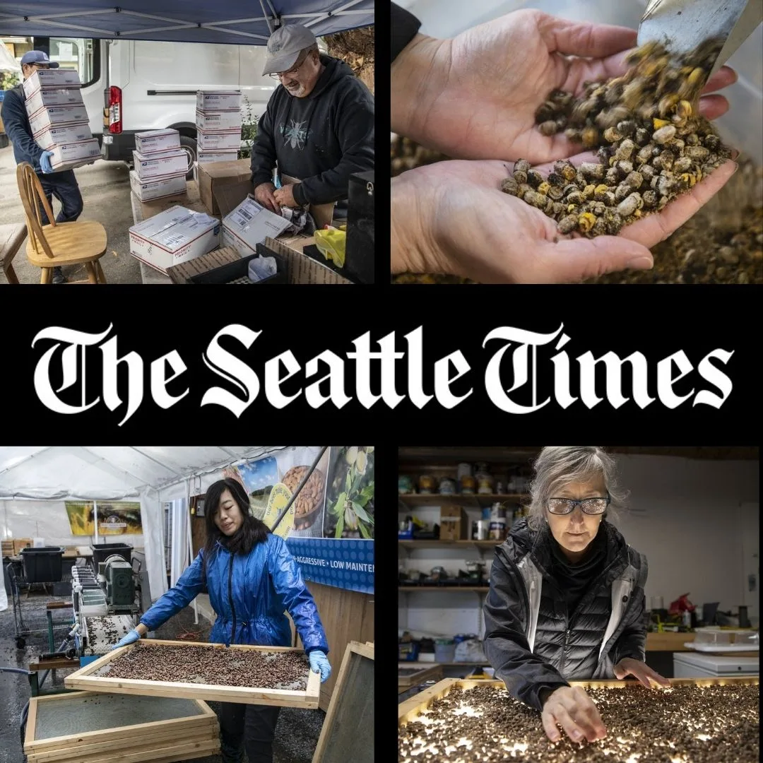 Seattle Times