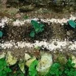 Shell Barrier