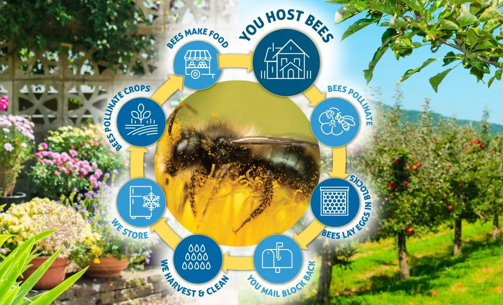 A Bee Rental Program for Gardeners and Farmers