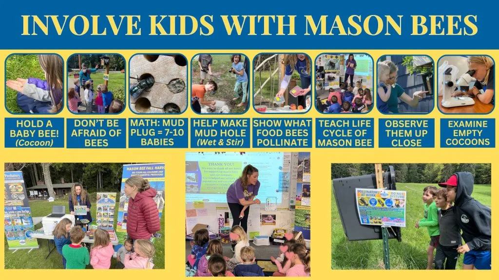 Classroom poster of kids holding cocoons, using a microscope, and reading a pollinator sign