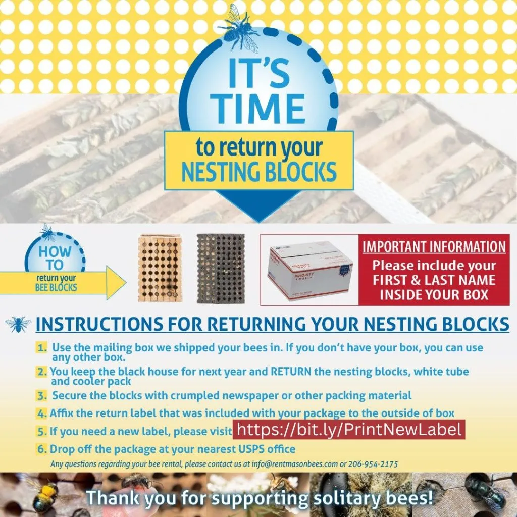Time to Mail Back Your Nest Blocks