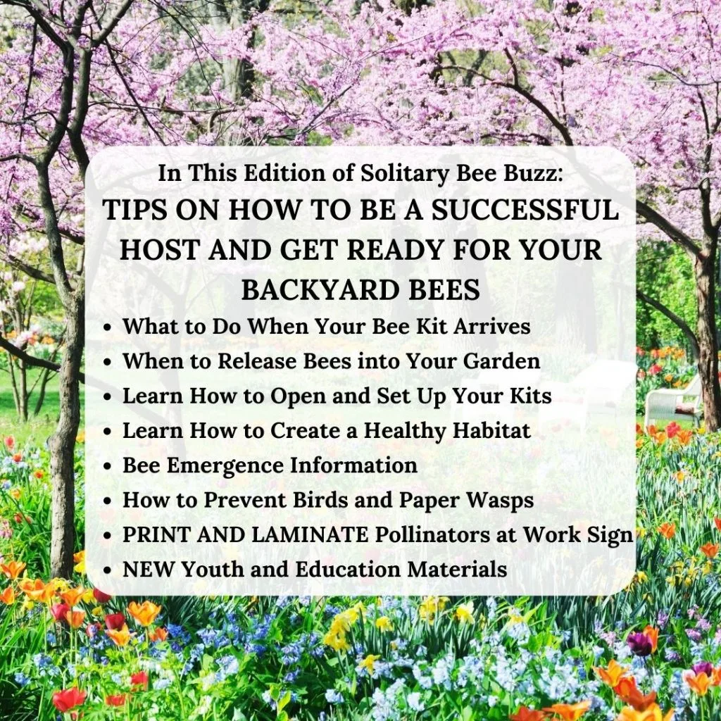Top Tips Newsletter 1080 × 1080 Px1