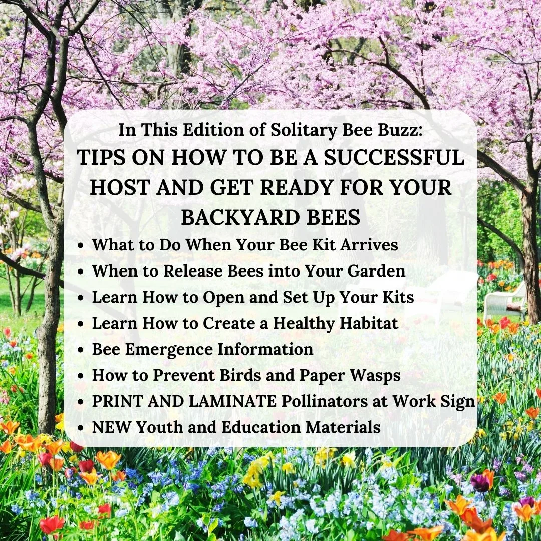 Top Tips Newsletter 1080 × 1080 Px1