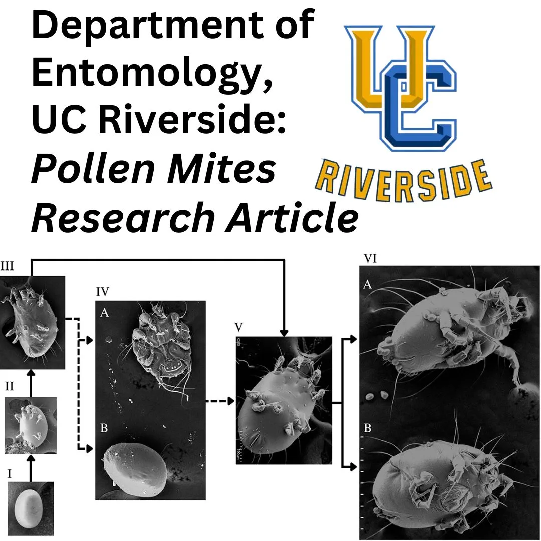 UC Riverside Research