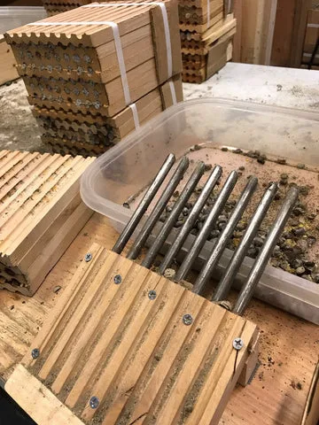 Picture of the mason bee cleaning process