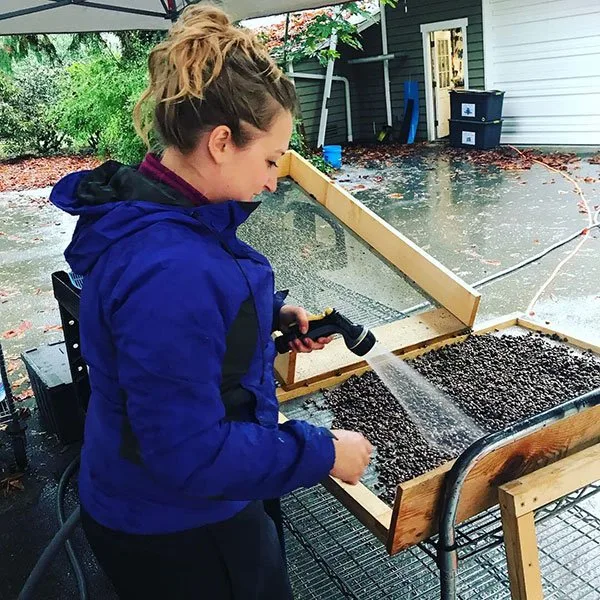 Washing Bees