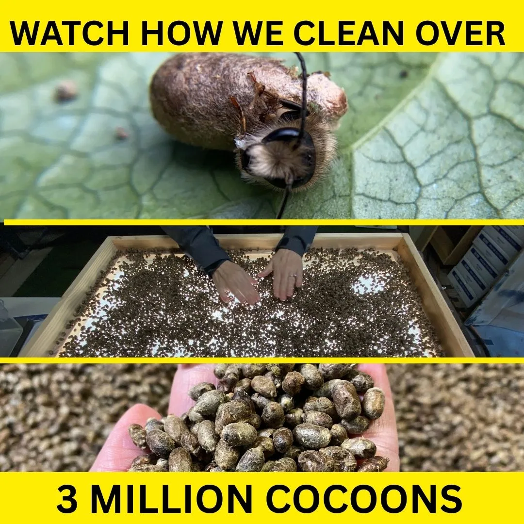 Watch How Clean 3 Million