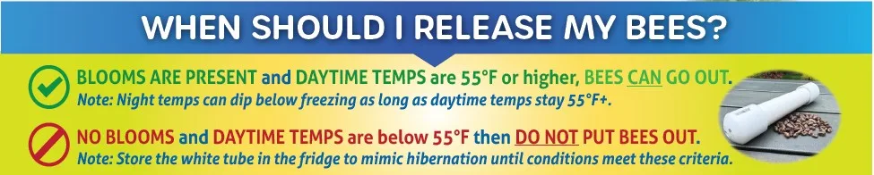 When to Release Bees