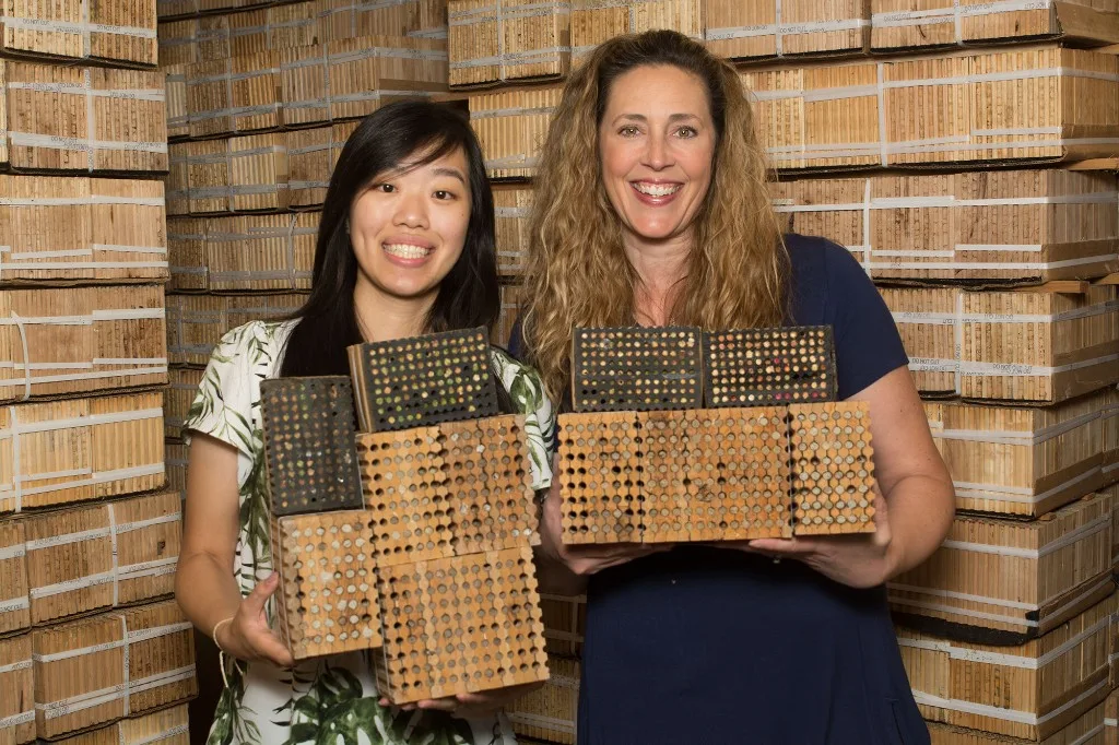 Nina Tran and Thyra McKelvie holding mason bee nesting blocks