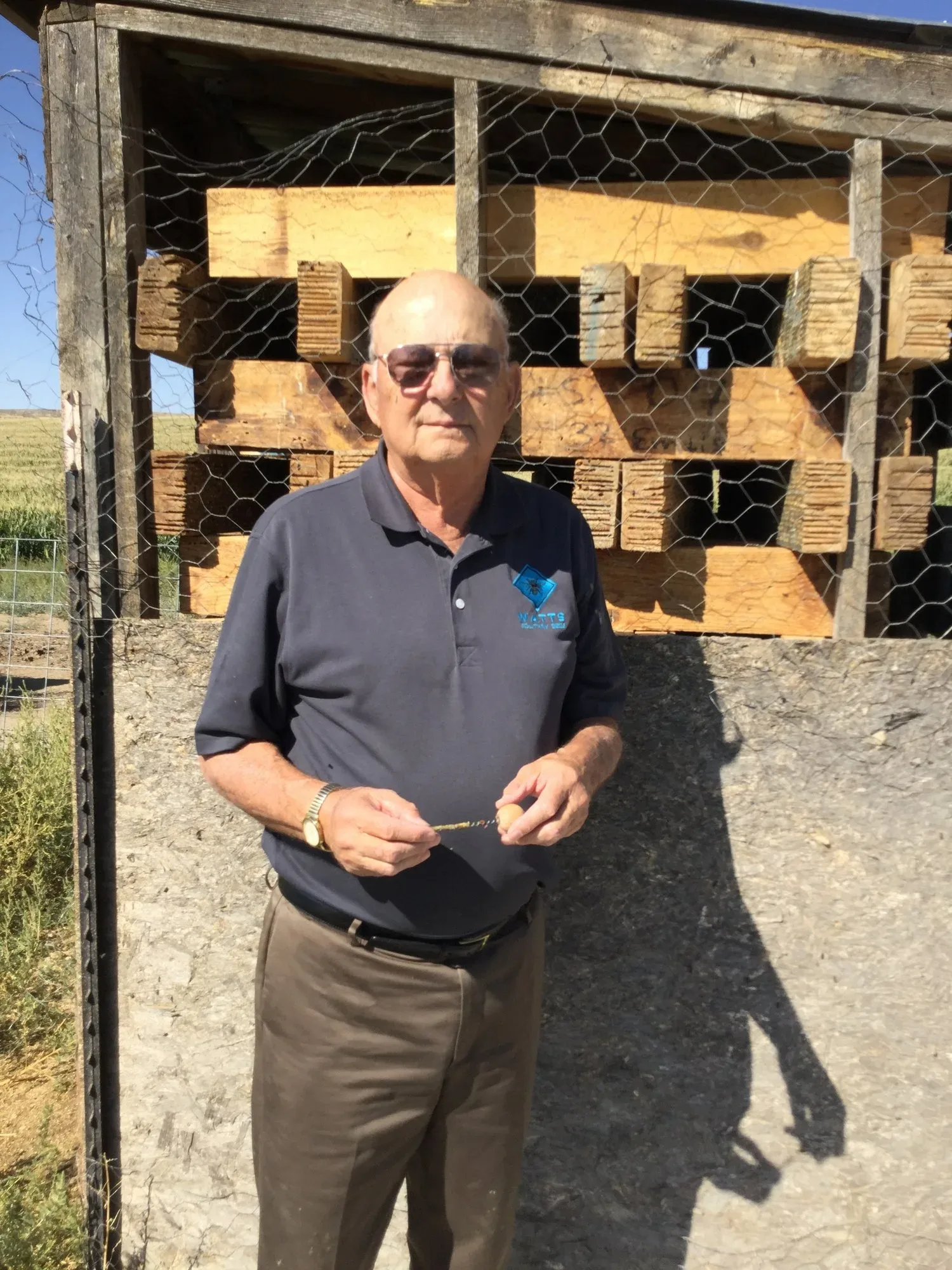 Roger Watts standing beside a leafcutter nesting board