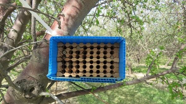 Our relationships with local farms would not be possible without our backyard hosts!