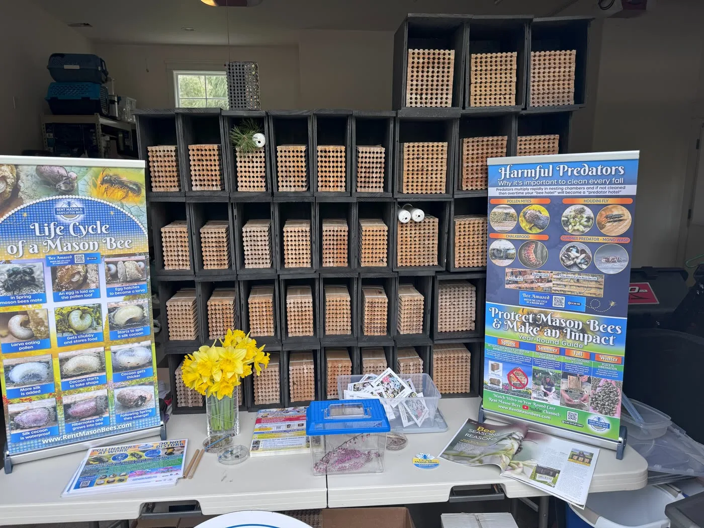 Thyra’s mason bee house setup on Bainbridge Island