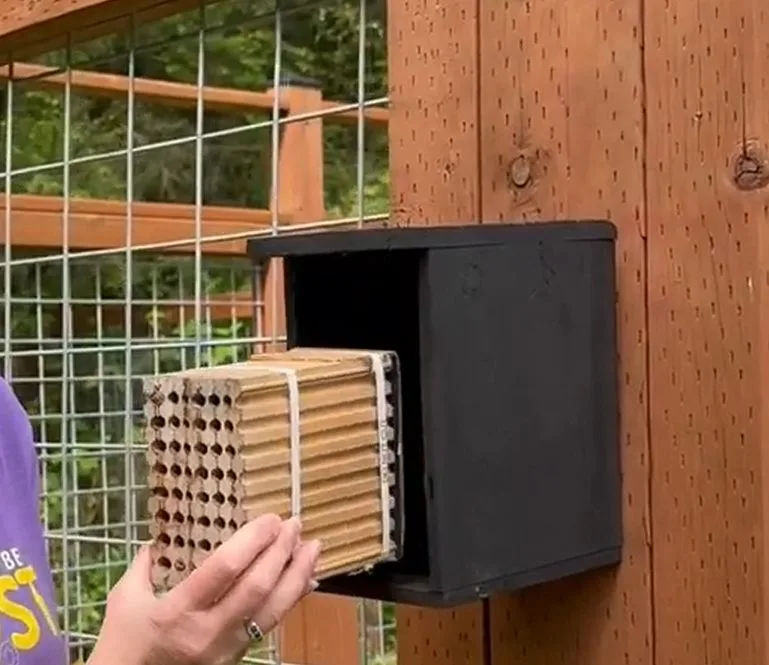 Hand sliding a nesting block into a black house