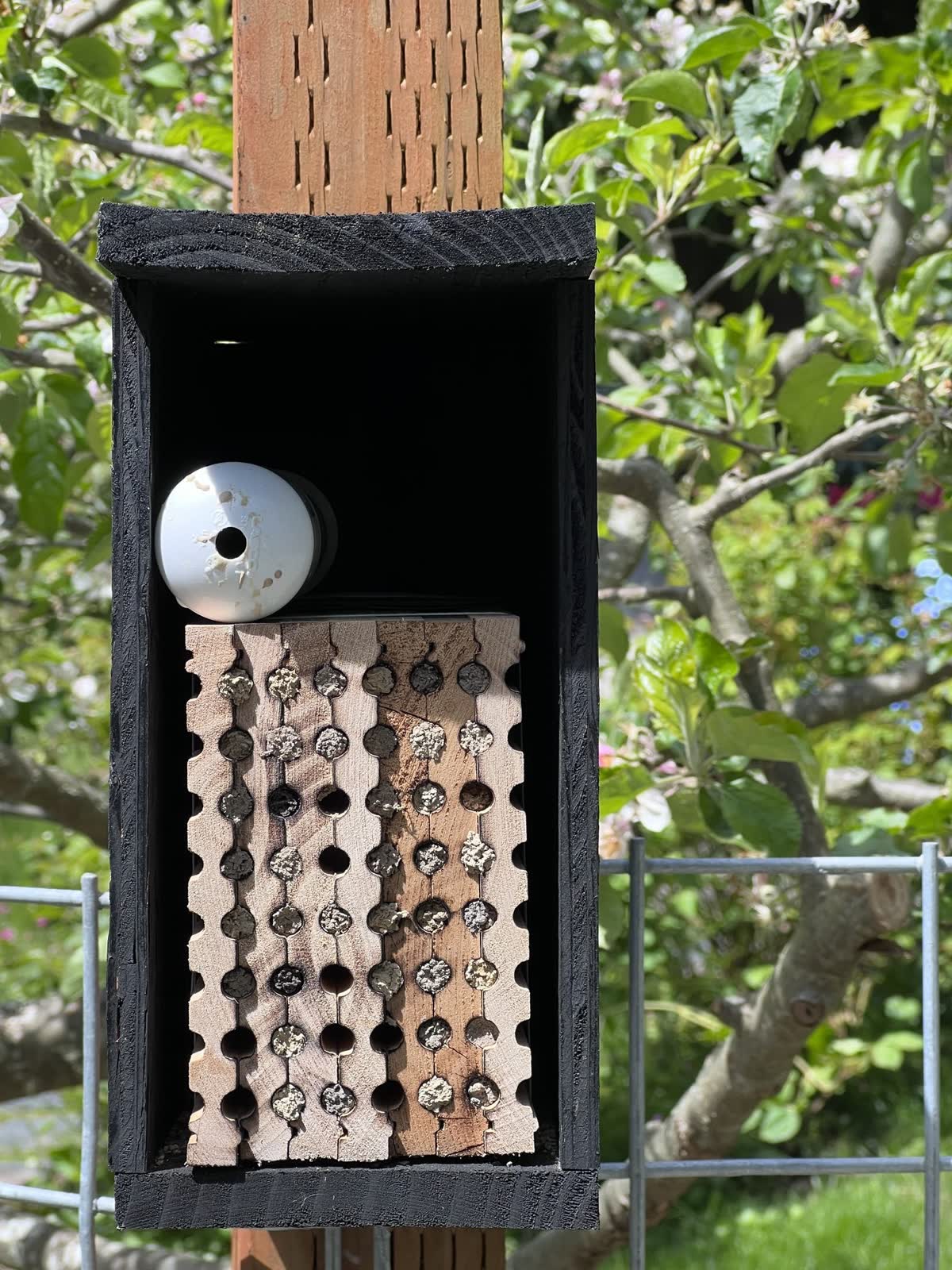 Bee house hung on a post, release tube on the nesting block