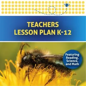 K–12 mason bee lesson plan