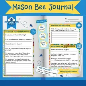Mason Bee Journal