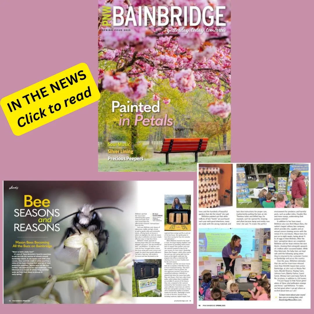 PNW Bainbridge article on mason bees