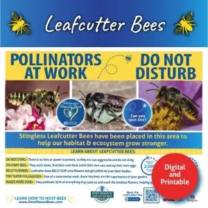 Leafcutters at Work