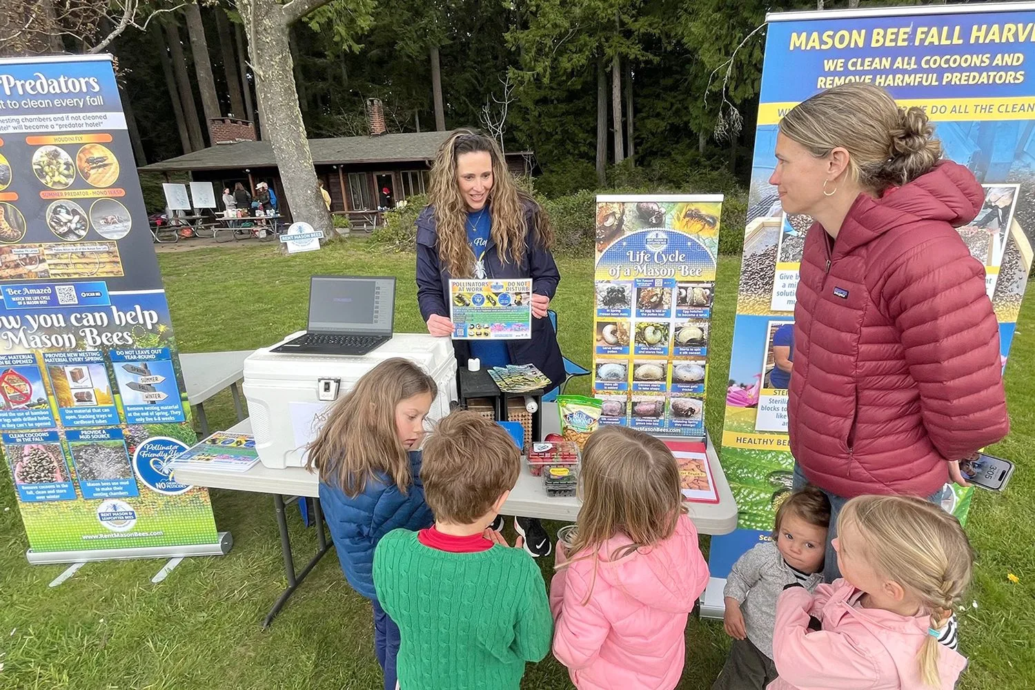 Children at an outdoor table looking at mason bee posters