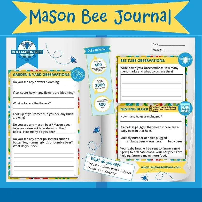Mason Bee Journal cover