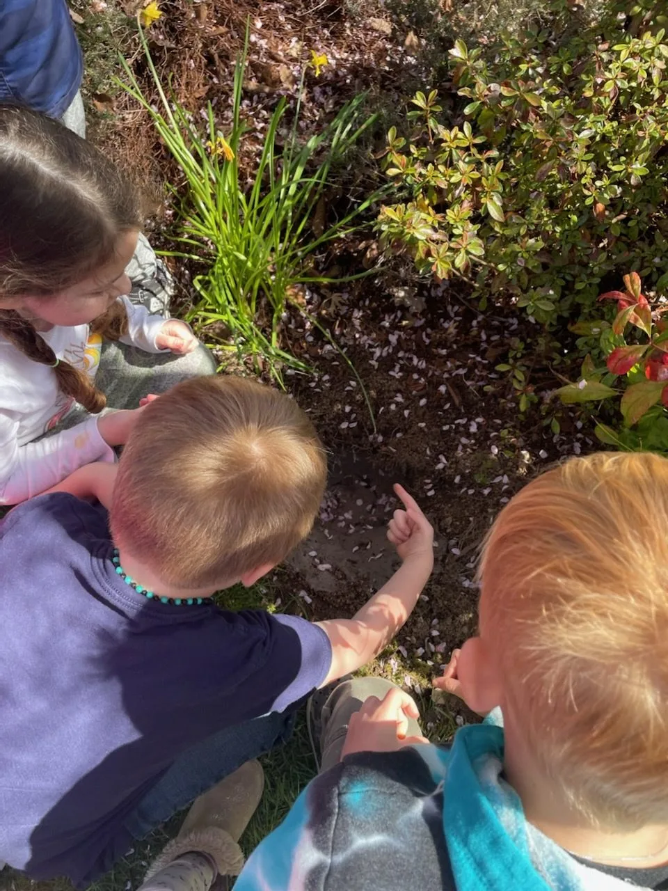 Children pointing at a mud hole in a garden bed