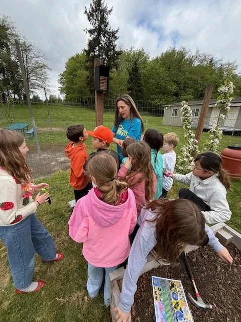 Children gathered around a mason bee house outdoors